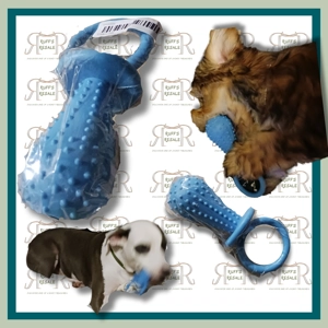 Rubber Pacifier Rattle Chew Toy