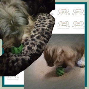 Small Green Rubber Treat Ball