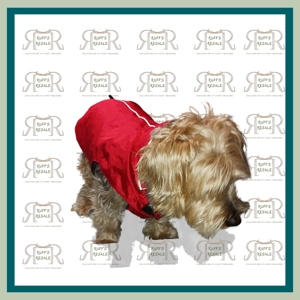 Red Reflector Dog Jacket