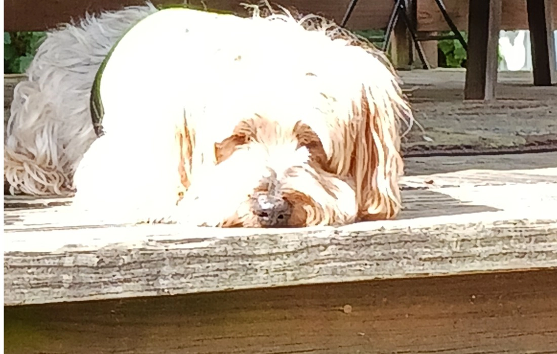 PLEASE LOOK AROUND. I'LL BE RIGHT HERE.