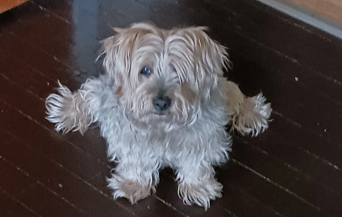 MY NAME IS LOUIS VUITTON