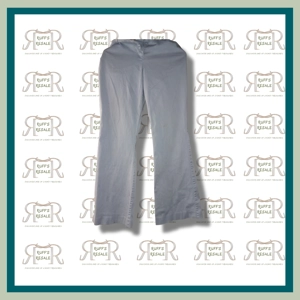 Express Boot Cut Pant size 8