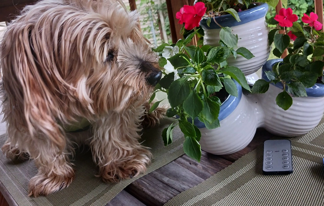 TAKE YOUR TIME. FIND GREAT THINGS!