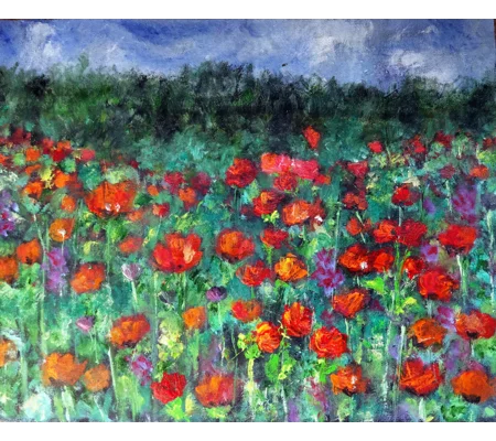 Poppy Field Oil Painting