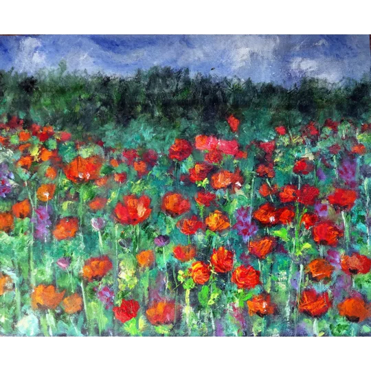Poppy Field Oil Painting