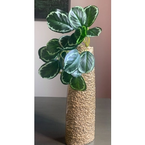 Faux Mini Plant - Prayer Plant (Calathea)