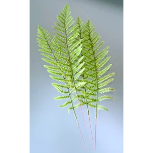 Faux Greenery Stem - Set/4 Fern Fronds