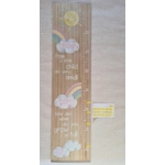 Rainbow Height Chart