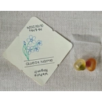 Place Name & Table Favours/Wedding Favours (x12)