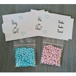 Gender Reveal Favour/Gift/Party/Babyshower - Millions Sweets