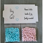 Gender Reveal Favour/Gift/Party/Babyshower - Millions Sweets