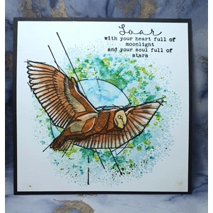 Soar