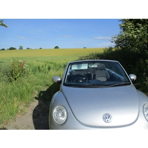 3 Lions england logo,