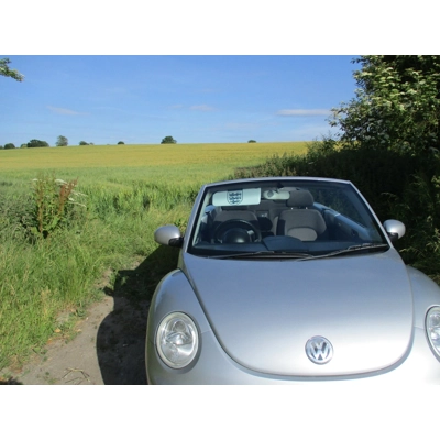 3 Lions england logo,