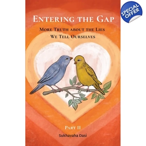 Entering the GAP (Part II): More truth about the lies we tell ourselves