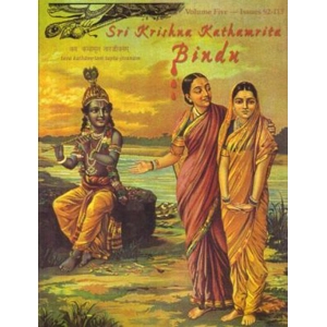 Shri Krishna Kathamrita Bindu: Volume 5 -  Beyond Awe and Reverence