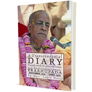 A Transcendental Diary: Volume 1