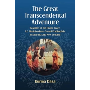 The Great Transcendental Adventure