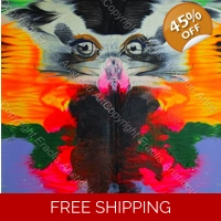 Butterfly Portrait Bright Flies 305