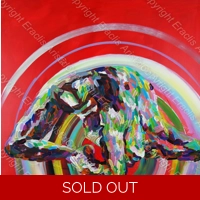 SOLD Yoga King Pigeon Transition ..