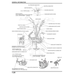 AGRIBIKES [2000-2003]HONDA_TRX350 TM TE FE FM_SERVICE_REPAIR_MANUAL