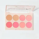 Technic Colour Fix  Blush Palette
