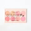 Technic Colour Fix  Blush Palette