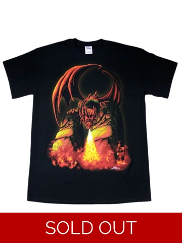 Dragon Fire T Shirt - Large