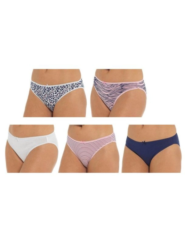 Ladies Stripe/Animal Print High Leg Briefs ( Pack of 5)- Size 16