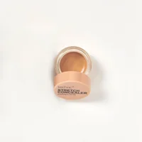 Technic Stretch Concealer - Warm Tan