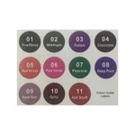 Saffron Zombie Nights Matte Velvet Lipstick - 01 True Ebony