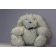 Fluffy Long Eared Dog