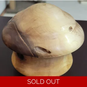 Mushroom Box