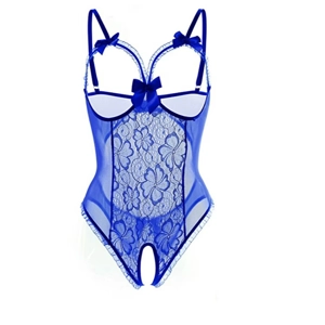 Transparent Lingerie