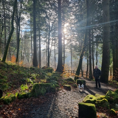 Getting Crafty at Coed y Brenin