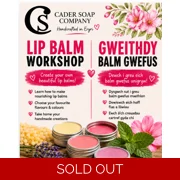 Lip Balm Workshop