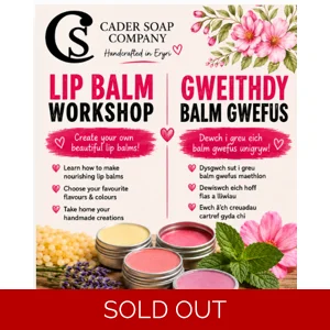 Lip Balm Workshop
