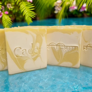 Artisan Soap - Citrus Burst