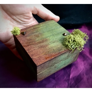 Witch vintage ritual box with moss and crystals hand painted sealed by beeswax
