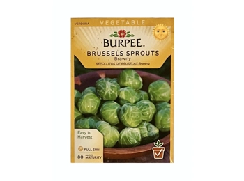 •BURPEE. BRUSSELS SPROUTS Brawny REPOLLITOS DE BRUSELAS Brawny