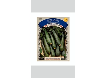 SQUASH Dark Green Zucchini • MERIAN SEEDMy