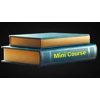 Mini Course - 2 courses combo