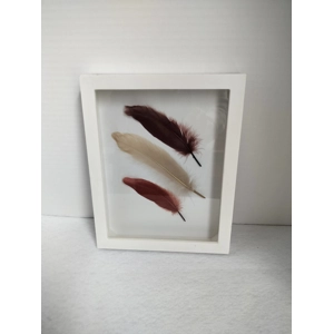Feathers Three