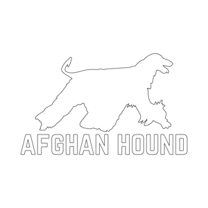 Afghan Hound Decal