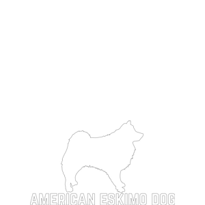American Eskimo Dog