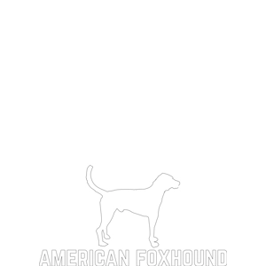 American Foxhound