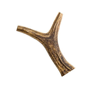 antlers