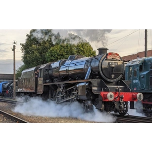 5305 Appeal
