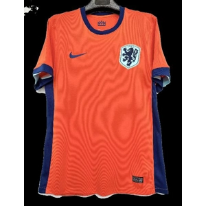 Netherlands Holland Home Replica personalised Shirt