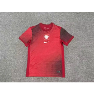Poland Away Replica personalised Shirt or kit